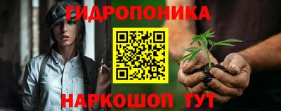 дмт Канаш