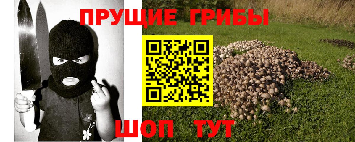 наркотики  Вход с VPN  Кропоткин  Галлюциногенные грибы Psilocybe 
